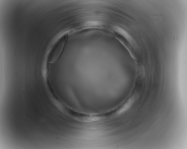 X0000088141034200706041333