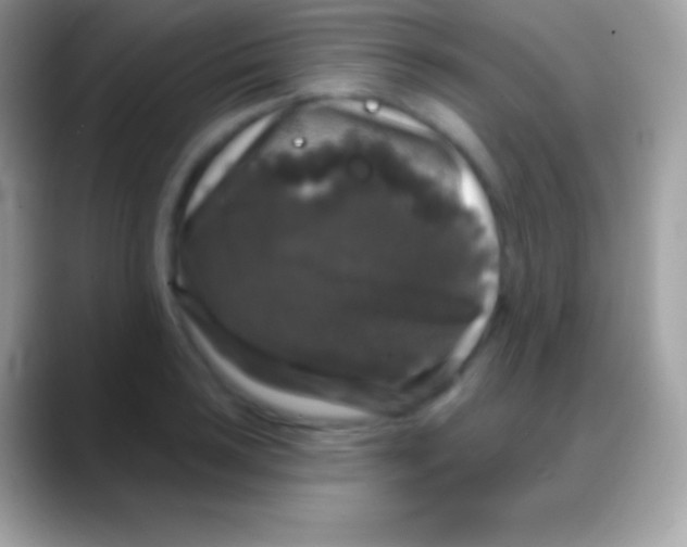 X0000088141035200706041333