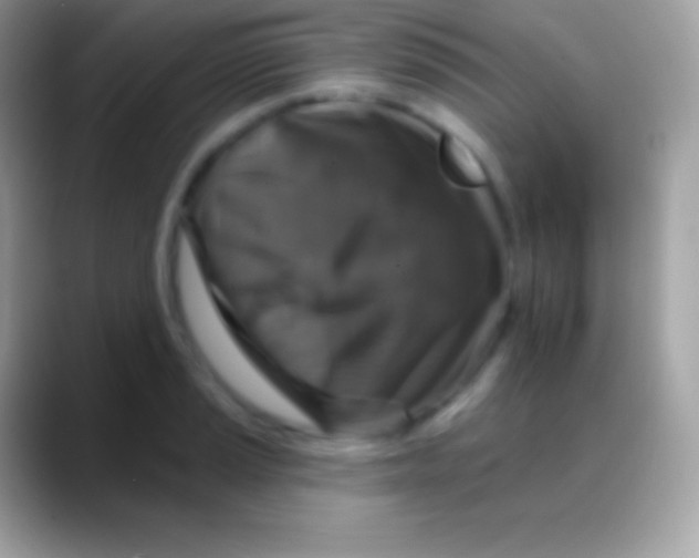 X0000088141037200706041333