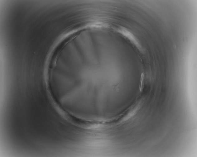 X0000088141038200706041333