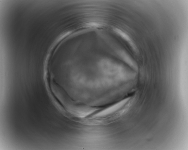 X0000088141042200706041333