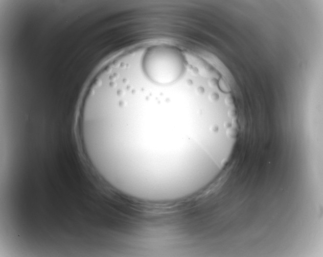 X0000088141044200706041333