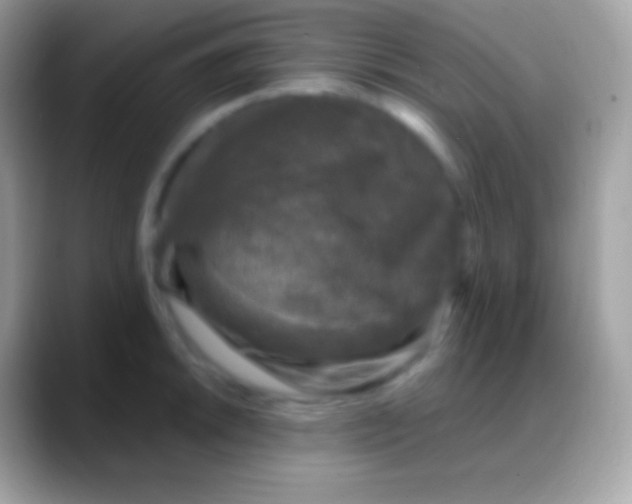 X0000088141046200706041333