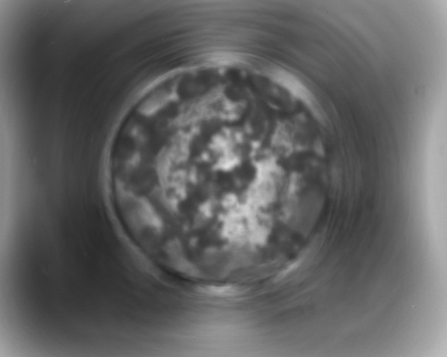 X0000088141047200706041333