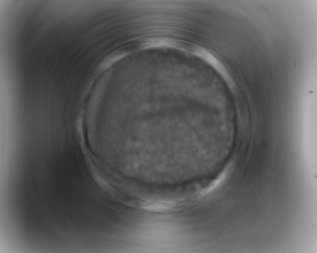 X0000088141049200706041333