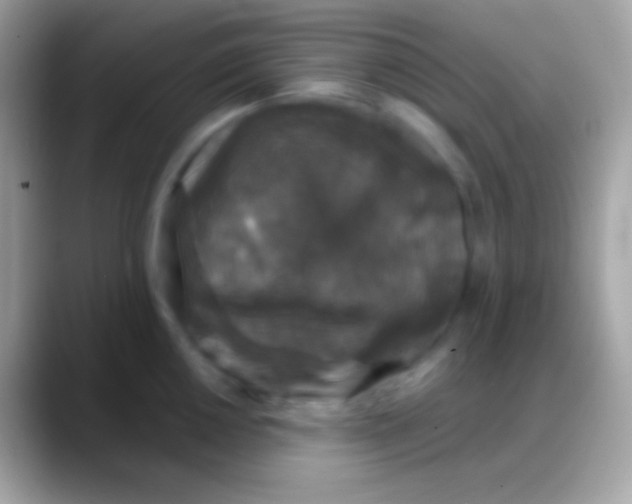 X0000088141050200706041333