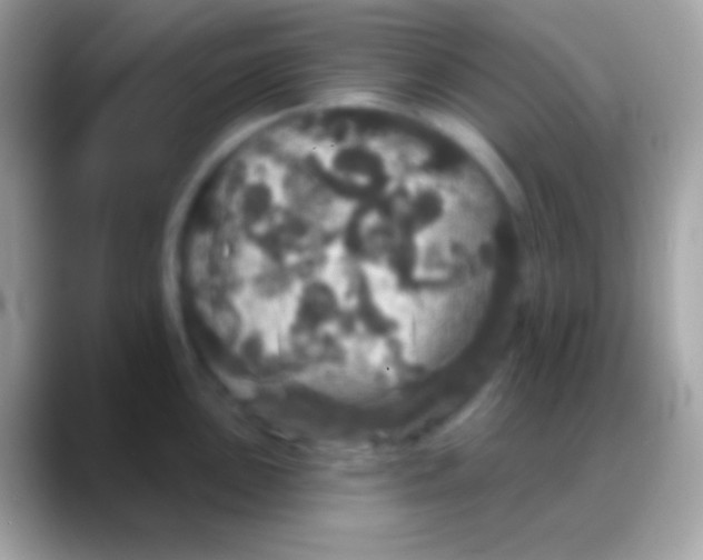 X0000088141051200706041333