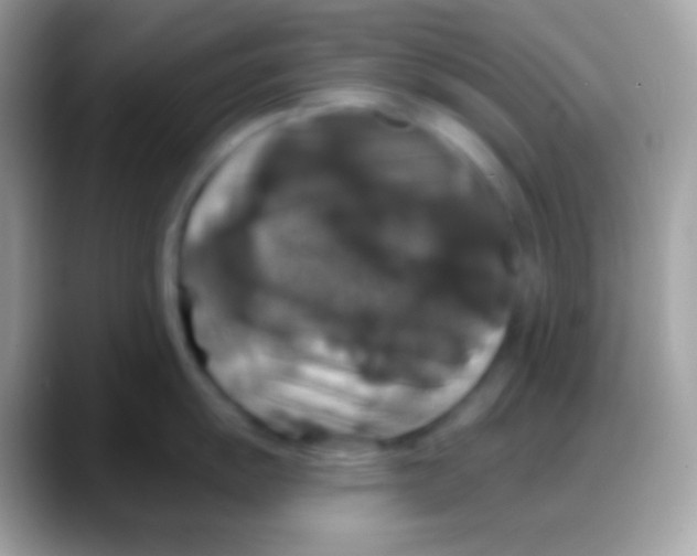 X0000088141055200706041333