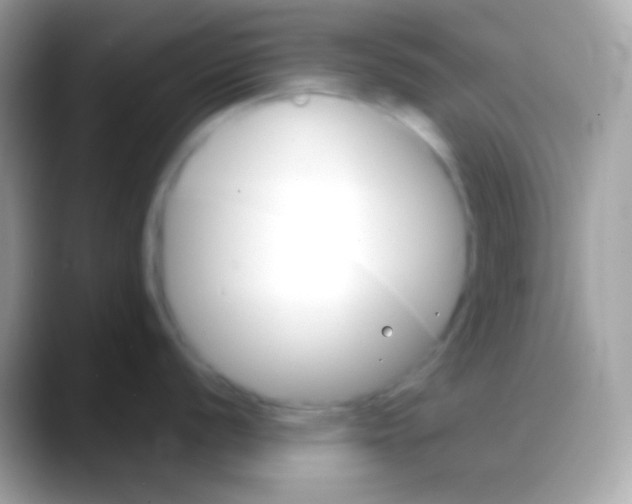 X0000088141056200706041333