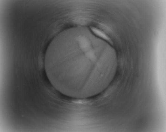 X0000088141058200706041333