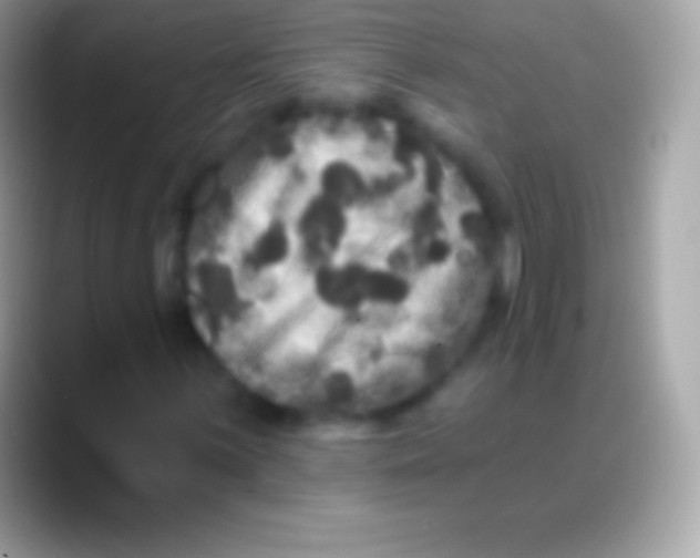 X0000088141059200706041333