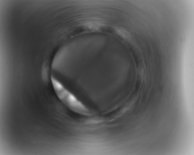 X0000088141060200706041333