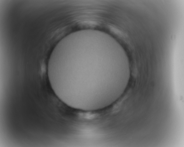 X0000088141061200706041333