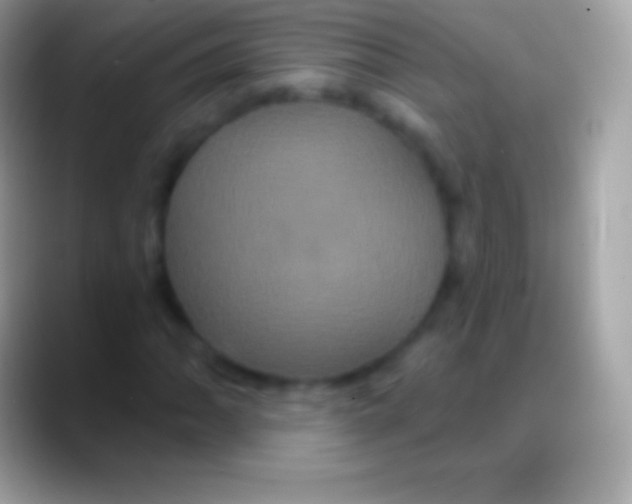 X0000088141062200706041333