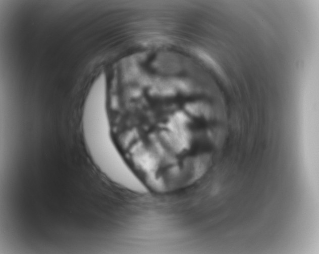 X0000088141063200706041333