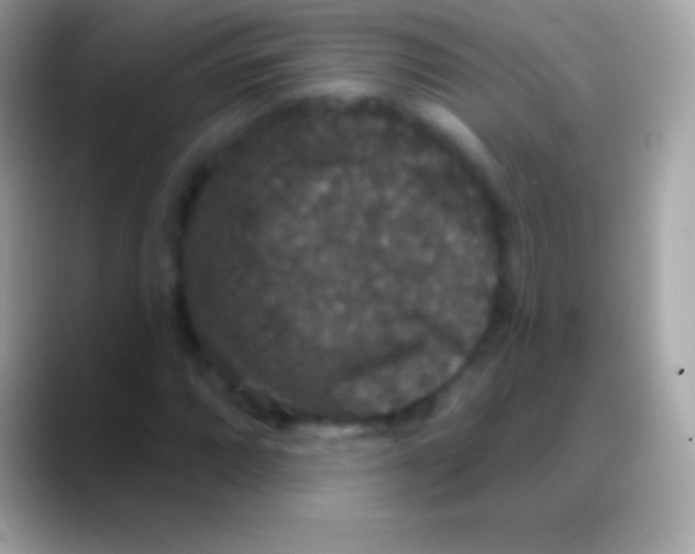 X0000088141064200706041333