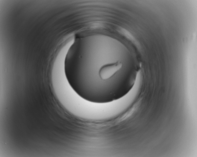 X0000088141065200706041333