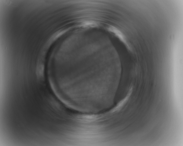 X0000088141066200706041333