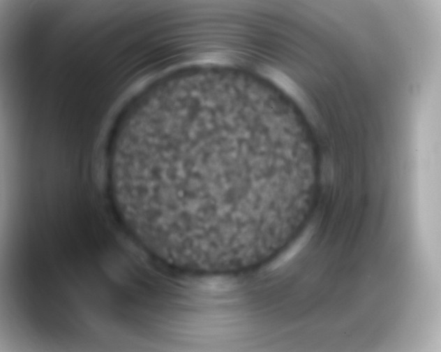 X0000088141067200706041333