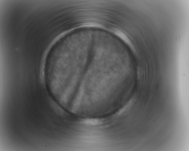 X0000088141068200706041333