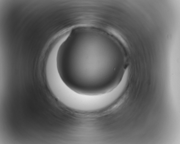 X0000088141069200706041333