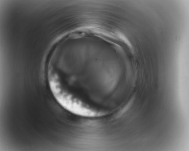 X0000088141071200706041333