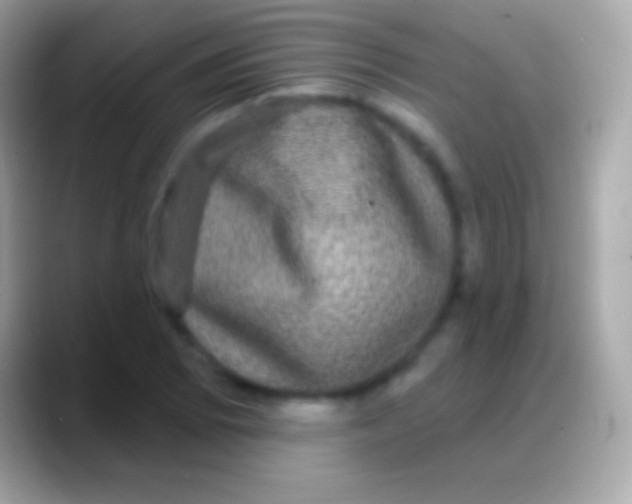 X0000088141073200706041333