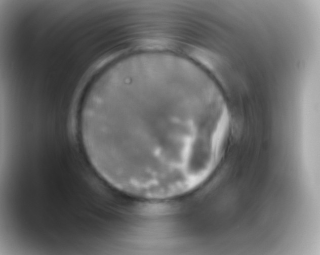 X0000088141074200706041333