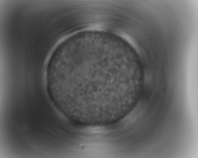 X0000088141075200706041333