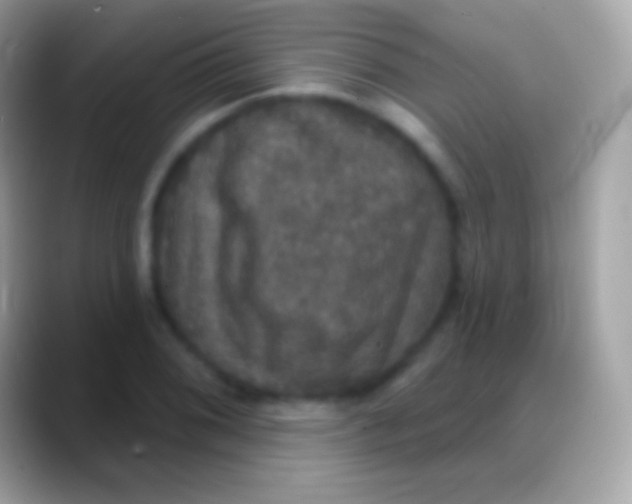 X0000088141076200706041333