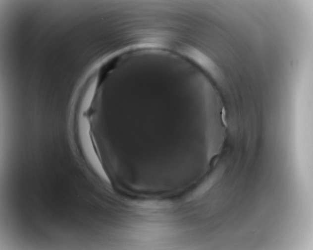 X0000088141077200706041333