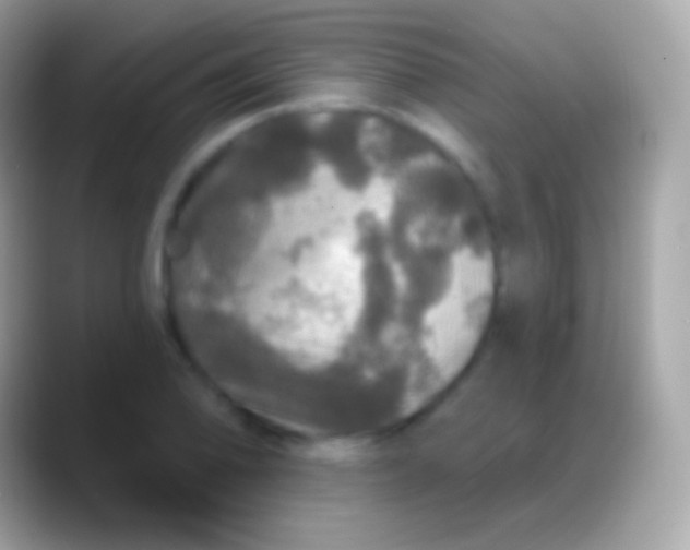 X0000088141078200706041333