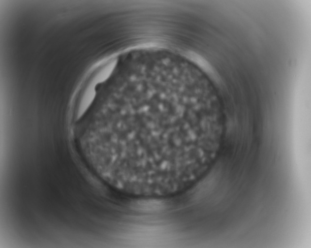 X0000088141079200706041333