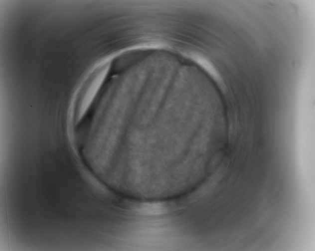 X0000088141080200706041333