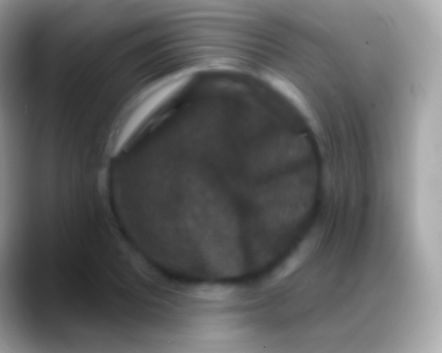 X0000088141081200706041333