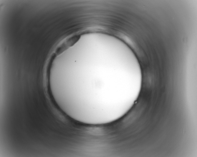 X0000088141082200706041333