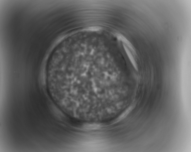 X0000088141083200706041333