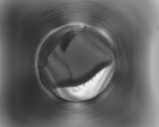 X0000088141084200706041333