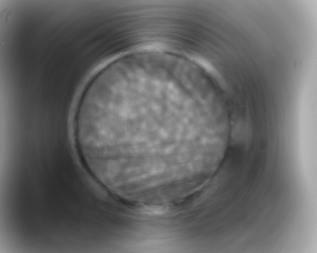 X0000088141086200706041333