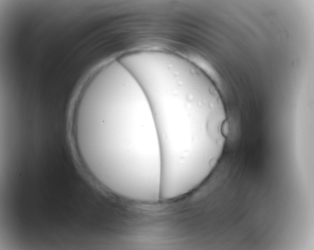 X0000088141088200706041333