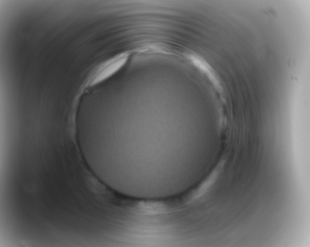 X0000088141089200706041333