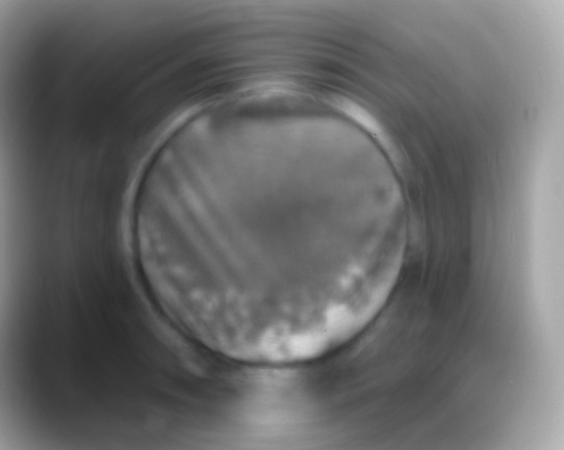 X0000088141090200706041333