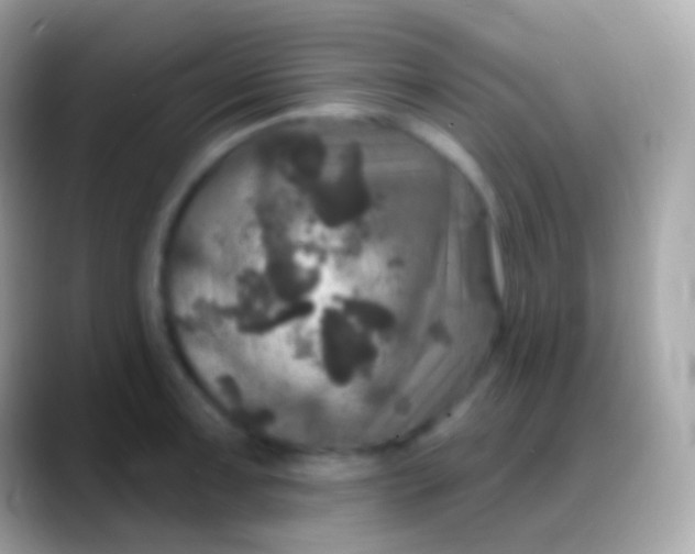 X0000088141091200706041333