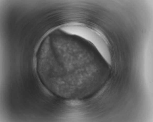 X0000088141092200706041332