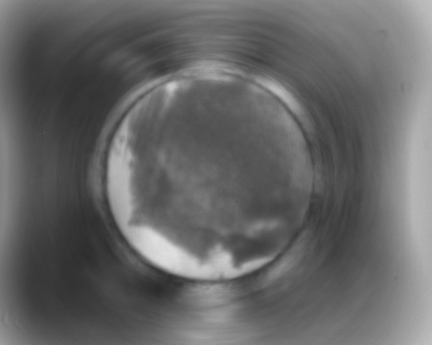 X0000088141094200706041332