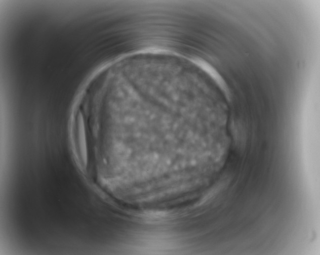 X0000088141096200706041332