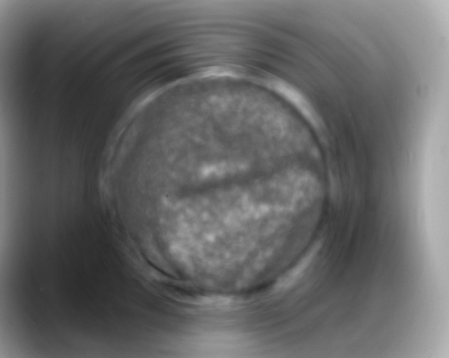 X0000088141097200706041332