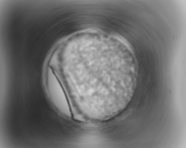 X0000088141104200706041332