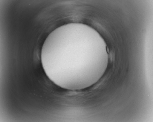 X0000088141107200706041332