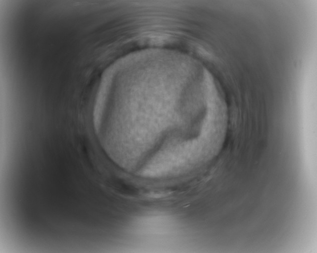 X0000088141109200706041332